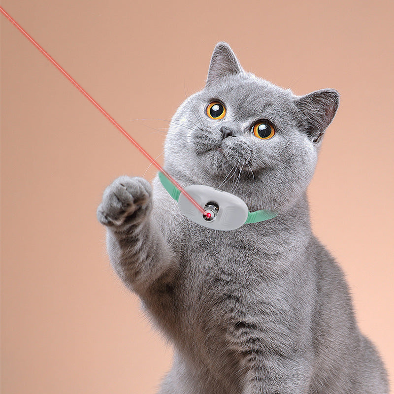 Laser-Pointer Collar