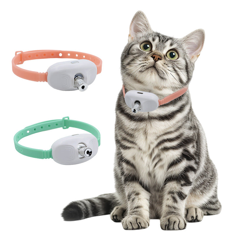 Laser-Pointer Collar